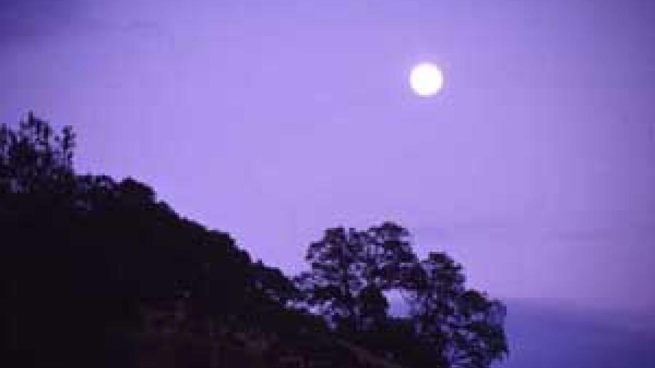 Photo of moon over oak-covered hillside