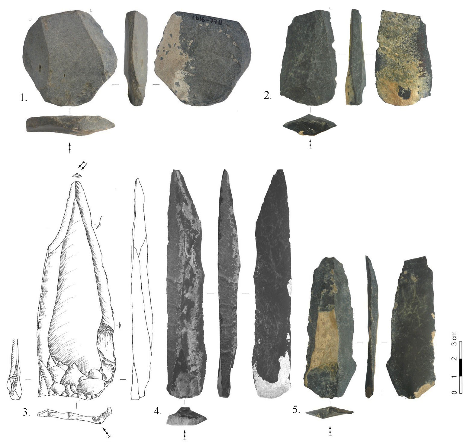 Photo of stone tools arranged in two rows