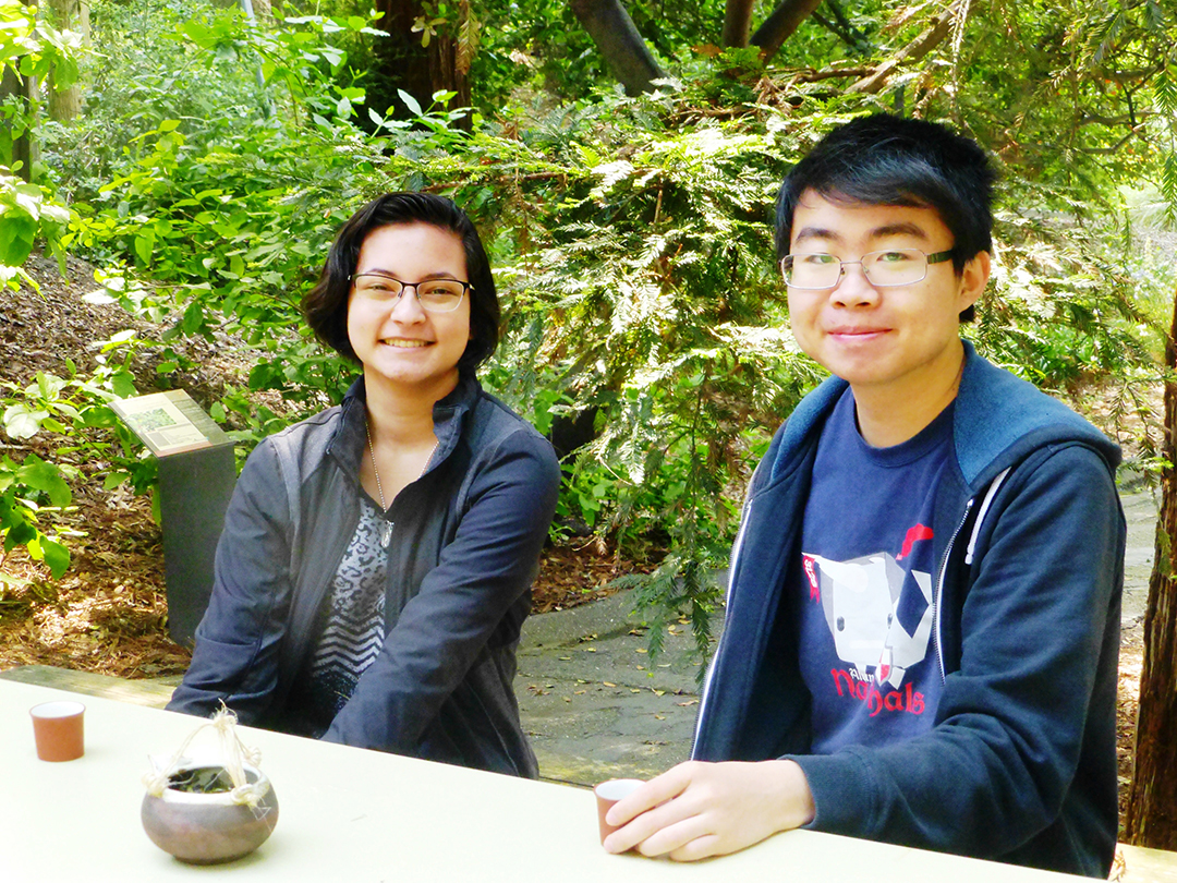 Students in a Global Tea Seminar at UC Davis