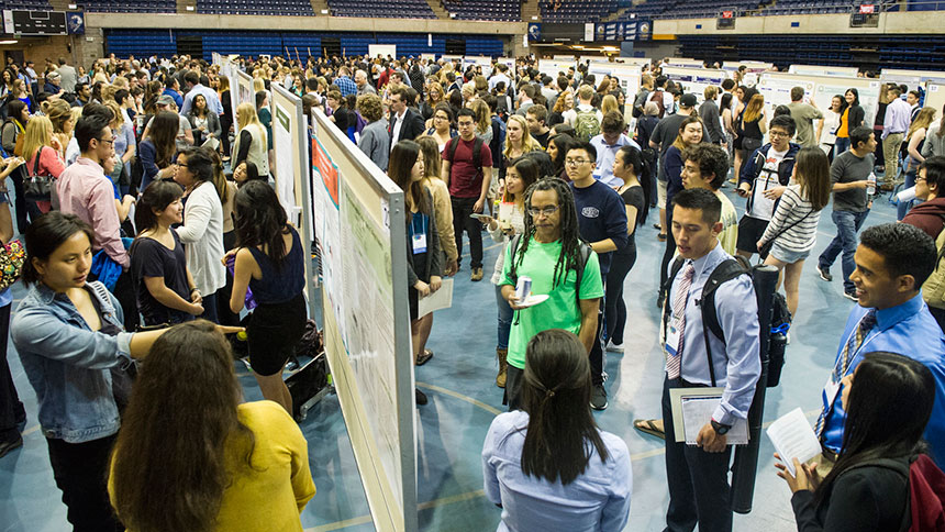 Students discuss their research at a poster session at the Undergraduate Research, Scholarship and Creative Activities Conference at UC Davis. (Jason Spyres/UC Davis)