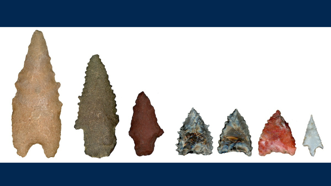 A collection of projectile points