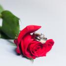 Photo: rose and rings