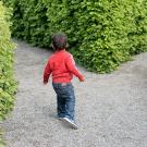 Young child at a Y in a garden path